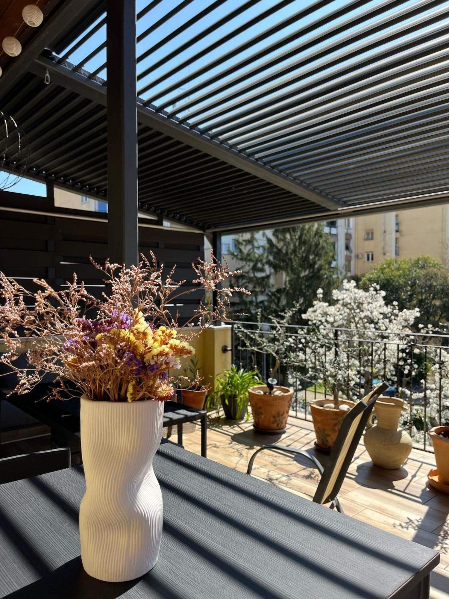 Art Apartment Sole بولا المظهر الخارجي الصورة